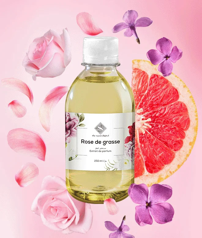 Rose de grasse