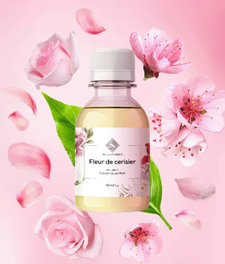 Fleur de cerisier