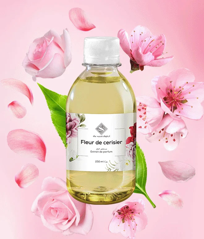 Fleur de cerisier