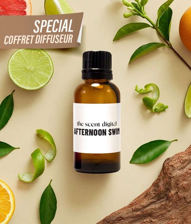 Parfum coffret voiture 15ML