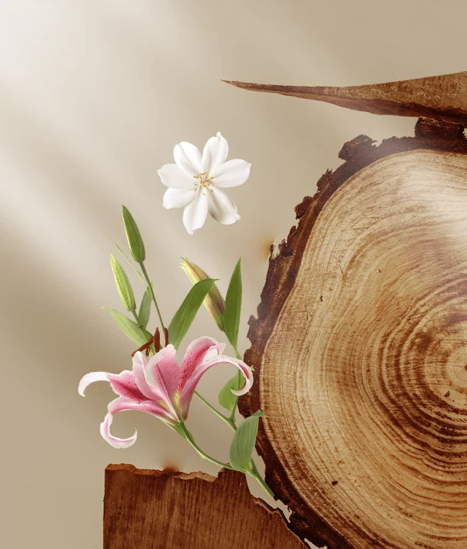 Cedar Wood