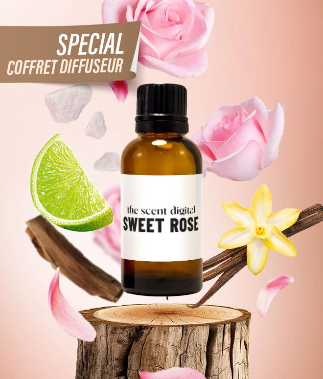 Parfum coffret voiture 15ML