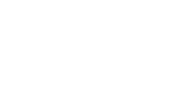 THE SCENT DIGITAL 